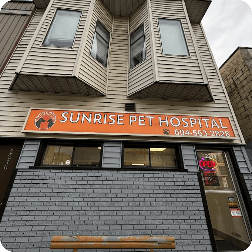 Sunrise Pet Hospital building exterior at 2214 E Hastings Street